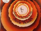 WONDER, Stevie - Songs In The Key Of Life - Vinyl (2xLP)