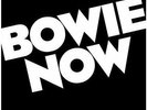 David Bowie - Now 1 x 180g White Vinyl LP RSD 2018 Low / Heroes Promo Album