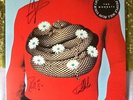 The wombats beautiful people will ruin your life signed vinyl