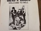 Guns N' Roses - Welcome To Hell rare DoLP    not TMOQ