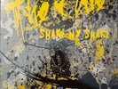 Vinyl LP - THE CURE  - SHAKE NY SHAKE- LIVE MADISON SQ GDNS - 6/2008