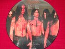 dismember picture disc vinyl 12inch