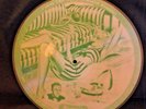 VINTAGE VOGUE PICTURE DISC RECORD R-781 Art Kassel Orchestra & Vocalists 78 RPM