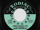 Northern Soul 45 - Ruby Andrews - Just Loving You - Zodiac - mp3