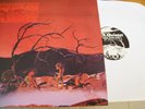 C.A. QUINTET TRIP THRU HELL DLP MINT---  SUNDAZED PSYCHEDELIC  GAREGE