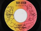Northern Soul 45 - Little Jewel - I Want To - Tay-Ster - mp3