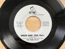 The Three Of Us - Dream Come True - Hilton’s Concept RARE GROOVE SOUL/FUNK 45