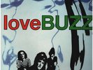 The Hummingbirds Lovebuzz NEAR MINT rooArt Vinyl LP