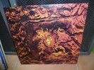 LP 33t dEUS - Worst Case Scenario