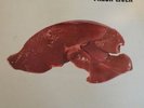 SCAFFOLD, FRESH LIVER, VINYL L.P's, ISSUE PLUS TEST PRESSING/ DEMO.