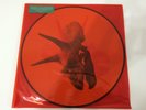 Alice in Chains - The Devil Put Dinosaurs Here 180gr Picture Disc 2LP Vinyl NEW