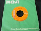 THE SPIDERS -BACK / PEOPLE DECEIVED- 1971 VERY RARE MEXICAN 7” SINGLE PSYCH
