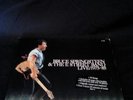 BRUCE SPRINGSTEEN & THE E STREET BAND LIVE 1975-85 VINYL BOX SET+ FREE POSTAGE