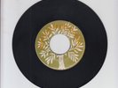 BLANK(PB)/ MESSAGE TO A BLACKMAN - PRINCE BUSTER  (68 ROCKSTEADY 7