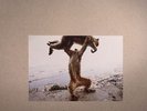 SHELLAC - Dude Incredible - Vinyl (180 gram vinyl LP + CD)