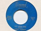 Northern Soul  45 - BOBBY GARRETT *   My Little Girl *   MIRWOOD  70 ' s Press