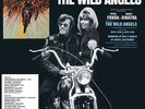Curb - Wild Angels