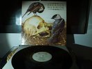 3 - SPARTAN WARRIOR LP King diamond Bitches sin Savage Heavy load Ostrogoth