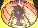 PEARL JAM   TEN  LP unplayed PICTURE DISC