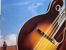 David Grisman Quintet '80 Vinyl Record Sealed Free Mailing
