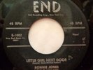 RONNIE JONES & CLASSMATES 45 Little girl.. / Teenage rock END Doowop kz307