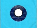 JERRY LANDIS  teen 45  Lisa / The Lone Teen Ranger  (Paul Simon) - NM