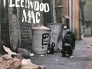 Fleetwood Mac 'Peter Green's Fleetwood Mac 1968 Mono Vinyl LP