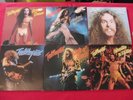 6 LP TED NUGENT  Scream Dream Weekend Warriors Same Cat Scratch Fever |  EX