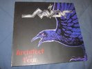 Raven Architect of fear LP