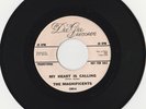 RARE ORIG NORTHERN SOUL 45 - THE MAGNIFICENTS - MY HEART IS CALLING YOU  DEE GEE