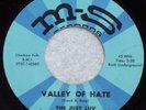 The Just Luv VALLEY OF HATE Michigan 60's Garage Fuzz Psych M-S 45 RPM NEAR MINT