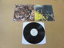 JAMIE T. Panic Prevention LP VERY RARE 2007 ORIGINAL UK / EU 1ST PRESSING V3023