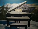 SUPERTRAMP  EVEN IN THE QUIETEST MOMENTS 1977 VINYL CLASSIC ROCK NEVER PLAYED 