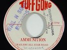 Wailers All Star Band 