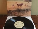 Bill Callahan Sometimes I Wish We Were an Eagle vinyl lp 2009 NM