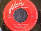 Elmore James, Flair 1011, Early In The Morning & Hawaiian Boogie, great blues