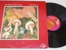 Mutual Understanding In Wonderland NIMBUS ORIG Canada Psych HOLY GRAIL LP Pokora
