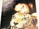 DIANA ROSS STUNNING LARGE U.S. RECORD COMPANY PRESS KIT 