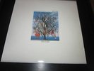 LP - Talk Talk - Spirit of Eden (1988) - OIS