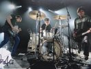 Steve Albini - Signed Autographed Photo, Nirvana