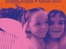 Siamese Dream by The Smashing Pumpkins.