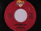 NUMONICS: One More Try / It's So Easy To Be Mislead 45 (Boogie) Soul