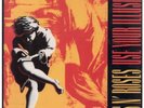 GUNS N ROSES Use Your Illusion 1 DOUBLE LP VINYL German Geffen 16 Track Double
