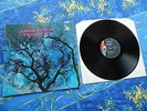 AMON DÜÜL II  ? PHALLUS DEI ? RARE LP VINYL #1A