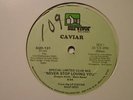 CAVIAR Never Stop Loving You SURVIVOR Miami Boogie Modern Soul 12