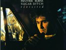 TAV & PANTHER BURNS FALCO - SUGAR DITCH REVISITED/THE SHAKE RAG 2 VINYL LP NEW+