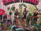 LA LUZ - Floating Features - Vinyl (LP + insert + MP3 download code)