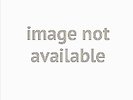 BARREN EARTH : A COMPLEX OF CAGES  -LP+CD- (LP Vinyl)