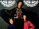 Jimi Hendrix Experience - 'Are You Experienced?' New and Sealed 180g 2LP Vinyl