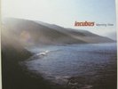 INCUBUS Morning View 2001 US ORG Double LP MINT Unplayed  BRANDON BOYD Promo